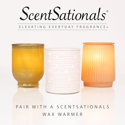 Scentsationals Woodland Spruce, Amber Birch Christmas Wax Melts 10oz