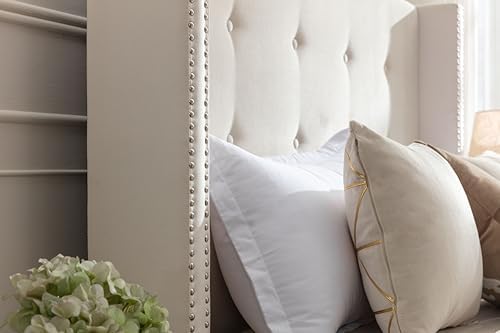 Queen Upholstered Bed Frame with 54" Wingback Tall Headboard Ivory Velvet