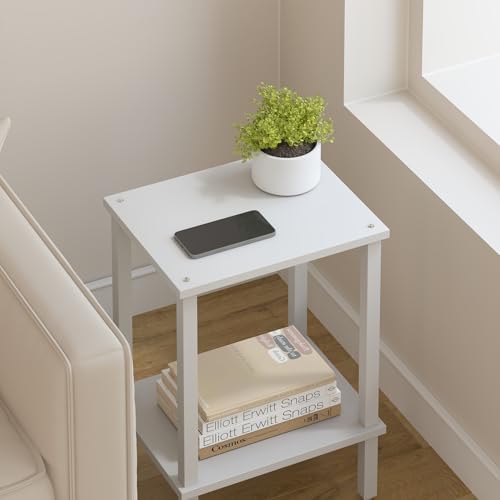 TUTOTAK End Table, Side Table, Nightstand, 2-Tier Storage Shelf