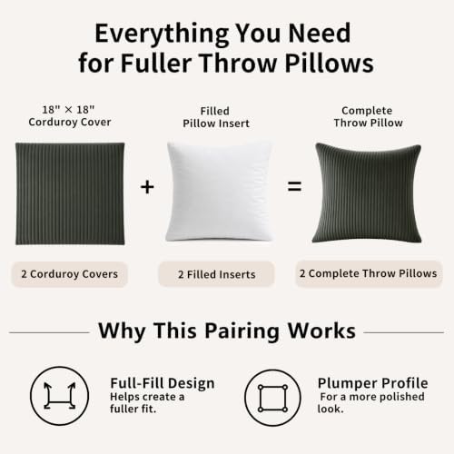 2 Pack 18 x 18 Decorative Throw Pillows with Insert Included