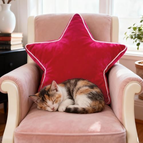 Star Pillow - 22 Inches Decorative Throw Pillows Floor Cushion Large Accent Pillow for Sofa Bed Couch Bedroom Red