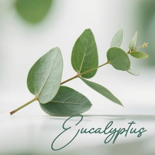 Room Spray, Eucalyptus Leaves, 4 fl oz, Air Freshener for Home, Bathroom