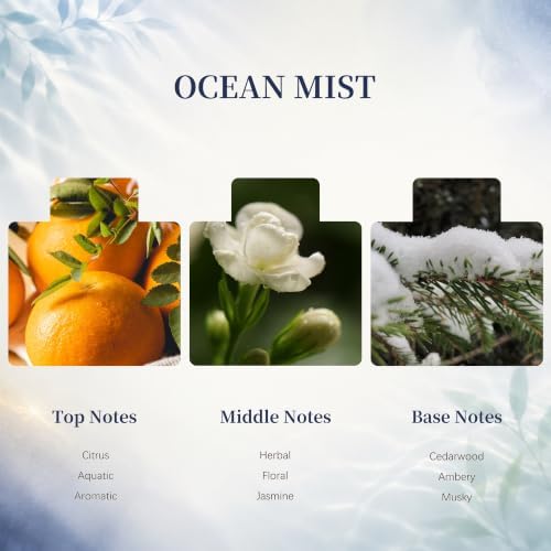 Airkeep Flower Reed Diffusers Set, 5.07 oz Ocean Mist Scented Oil Diffuser with 8 Reed Sticks, Home Fragrance Diffuser Gift Set for Bathroom & Office Decor 150ml