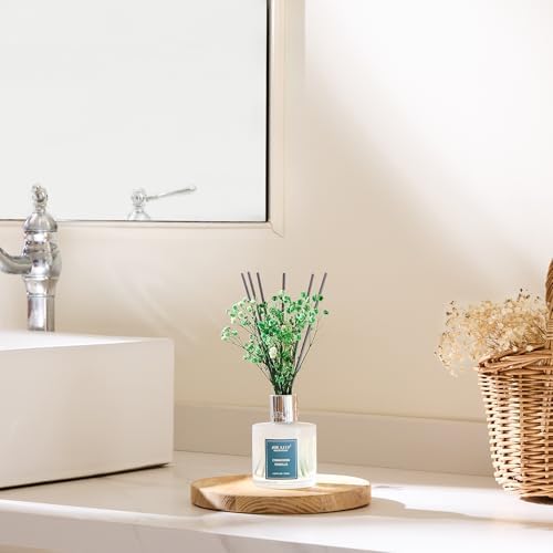 Airkeep Reed Diffuser Set,3.38 fl oz (100 ml) - Cinnamon Vanilla Oil Diffusers with 8 Reed Sticks, Home Fragrance Reed Diffuser for Bathroom Shelf Decor