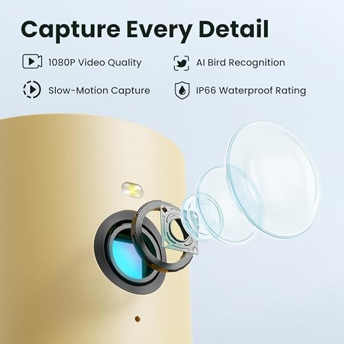 Birdfy Smart Bird Feeder with Camera for Beginners, Solar Powered Rookie