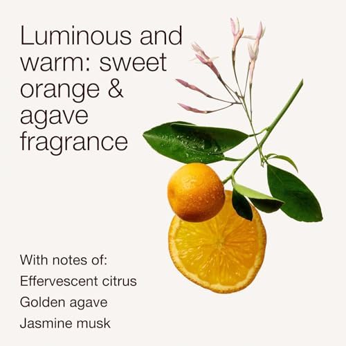Bath & Body Works 3-Wick Candle, Sweet Orange & Agave, 14.5 oz, 2 Pack
