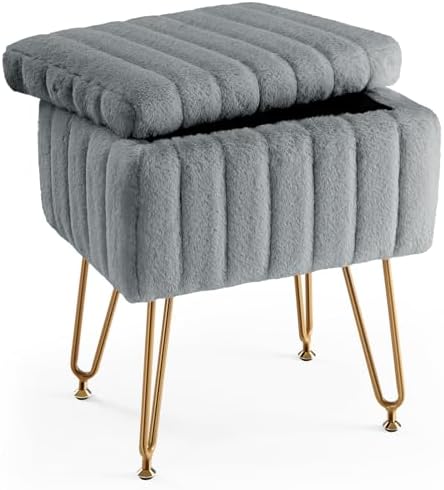 DUMOS Vanity Stool Chair, Ottoman with Storage for Living Room, Bedroom