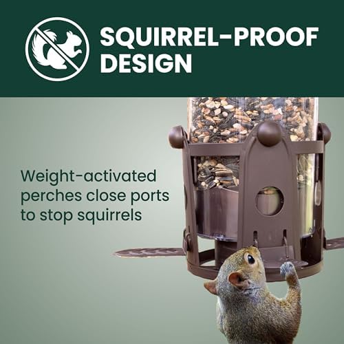 Perky-Pet Squirrel-Be-Gone Max Bird Feeder, (4) Flexport Feeding Stations
