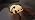 Cute Duck Lamp,Fun Lying Flat Duck Panda Night Light,LED Squishy Animal Novelty Lamp,Toddler Baby Night Light for Kids,Nursery Touch Kawaii Lamp Room/House Décor Nursery Nightlight for Breastfeeding