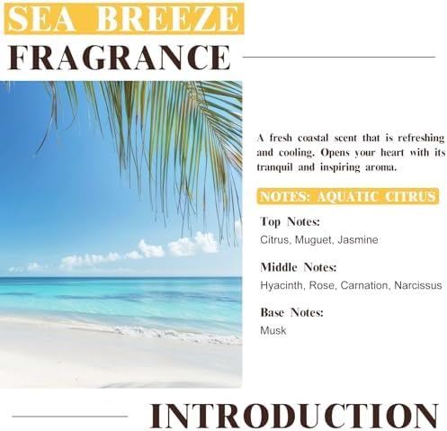 EUQEE Sea Breeze Fragrance Oil with Glass Dropper 2.02 Fl oz/ 60ML