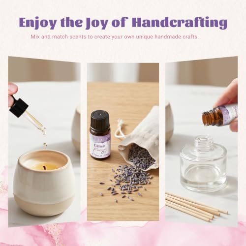 EUQEE Top 36 Scents Fragrance Oil Set for Diffuser for Home