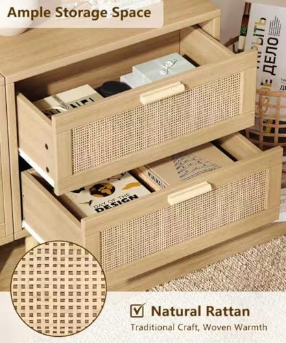 Keehusux 23.6" W Rattan Nightstand with Charging Station and 2 Drawers