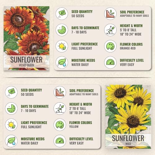 Seed Needs Sunflower Seeds Variety Pack of 6 Flowers for a Butterfly Garden