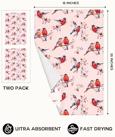 Miss Adola Cute Kitchen Towels Set of 2, 18 x 26 Inch, Winter Birds