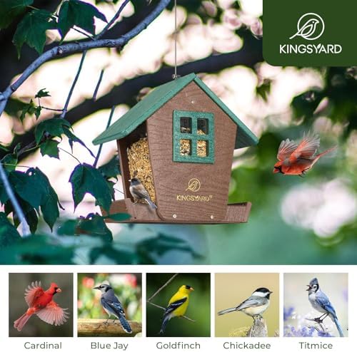 Kingsyard 4 lbs Large Bird Feeder House for Outdoors Hanging