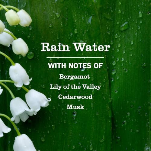 MRS. MEYER'S CLEAN DAY Premium Scented Oil, Rain Water, 2 Refills