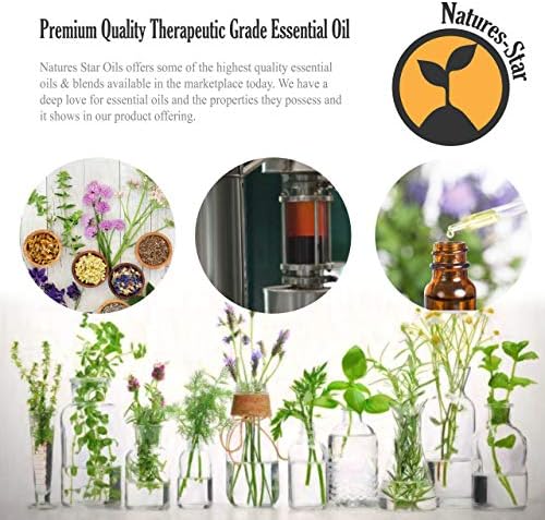Natures-Star Peppermint Essential Oil, 4 Pack 16oz Each, 64oz Bulk, Therapeutic Grade Peppermint Essential Oil for Aromatherapy, Soap Making, Candles, Diffuser