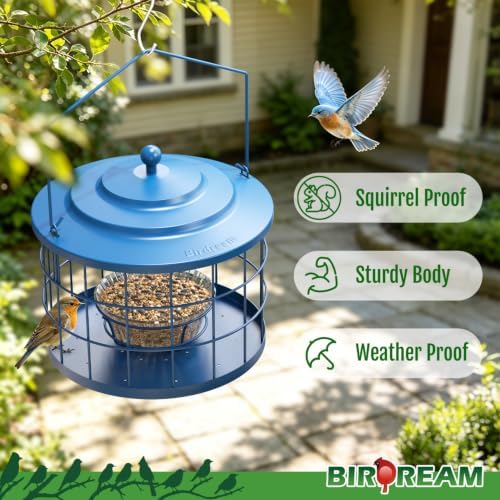 Birdream Metal Cage Bird Feeder for Outdoors Hanging with Glass Bowl, Blue