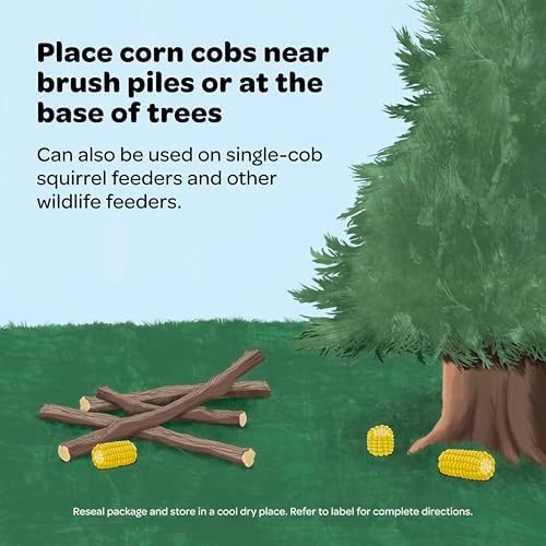 Kaytee Corn on the Cob for Wildlife Feeding, Squirrels & Deer, 6.5 lb