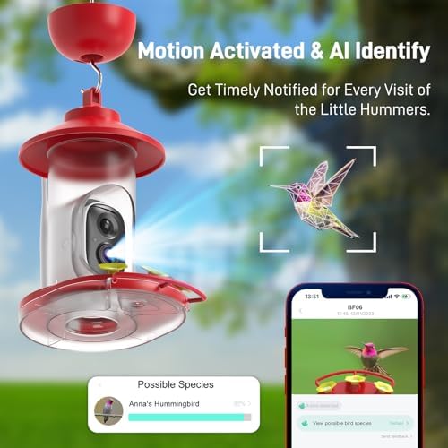 SOLIOM Hummingbird Feeder with Camera, 2K Smart AI Video, Solar Powered