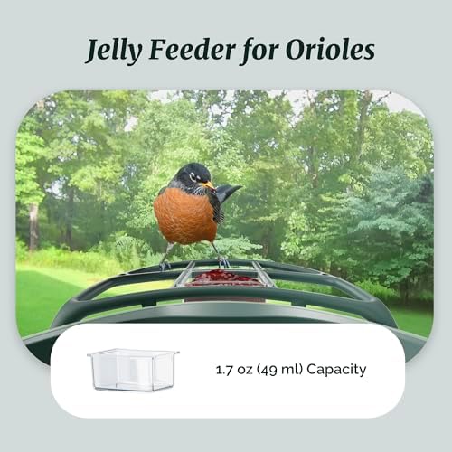 Kiwibit Complete Accessory Kit DIY Add-Ons Including Mini Hummingbird Feeder, 2 Fruit Holders, Jelly Feeder (Smart Bird Feeder NOT Included), Compatible with Kiwibit Bird Feeder