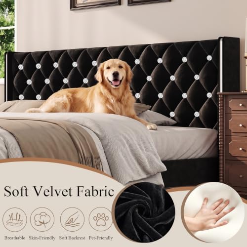 HOMBCK Full Bed Frame with Velvet Headboard, Silverside Wingback, Black
