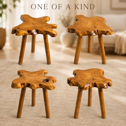 Teak Side Table, Live Edge End Table, Solid Wood Side Table for Living Room, Bedroom, Patio, Plant Stand, Tree Stump Style Natural Wood Accent Table