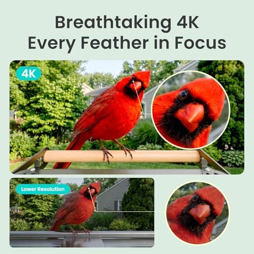 Smart Bird Feeder with Camera 4K, 2.4/5GHz Wi-Fi (Birdfy Metal 2 4K)