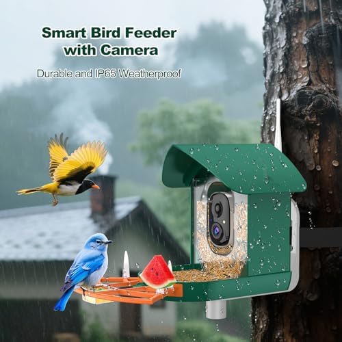 Bird Feeder with Camera,WiFi Smart Bird House with Cam Solar Powered
