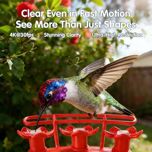 4K Hummingbird Feeder with Camera,No Subscription,Solar Powered