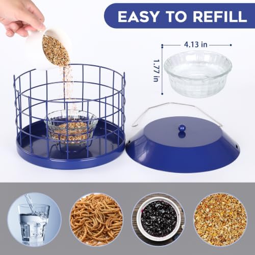 Gbekery Bluebird Feeder for Mealworms with Glass Bowl for Outdoors, Blue