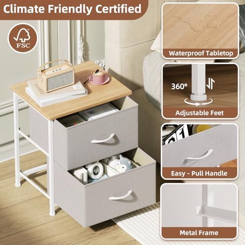 Somdot Nightstand Set of 2 with 2 Drawers, Small Night Stands for Bedroom
