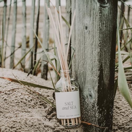 Sweet Water Decor Salt and Sea Reed Diffuser Set - Sea Salt, Citrus, Musk, and Amber Summer Scented Diffuser - Scent Diffusers for Home, Long Lasting Fragrance, Made in the USA