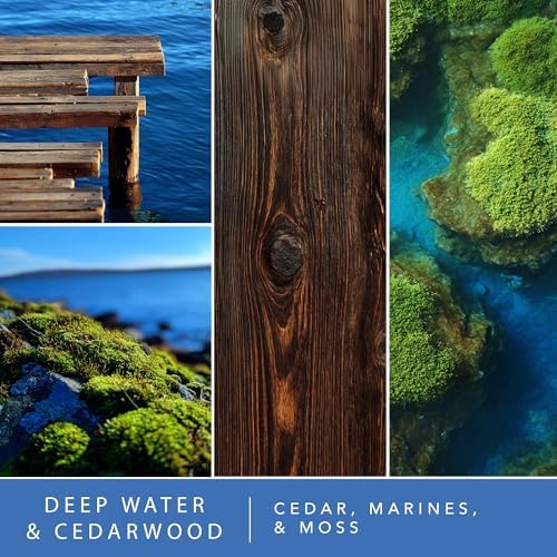 ScentSationals Deep Water & Cedarwood Water-Based Reed Diffuser - 5 FL OZ