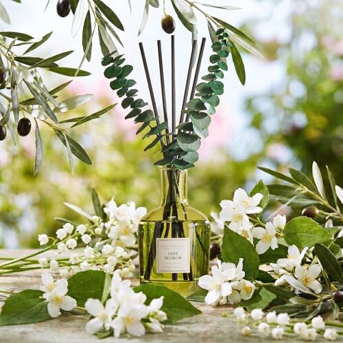 COCORRÍNA Olive Blossom Reed Diffuser, 6.76 oz