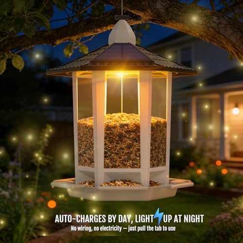 Birdream 2 Pack Solar Bird Feeders for Outdoors Hanging, Assembly Required, 1-Min Easy Setup, Wild Seed Feeders for Cardinals Chickadees and Finches