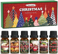SALKING Christmas Fragrance Oils, Essential Oils Set for Diffuser for Home