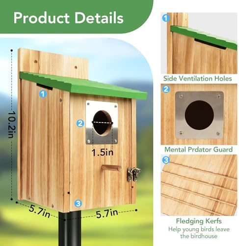2 Pack Bird Houses for Outside- Cedar Bird House with Metal Predator Guard