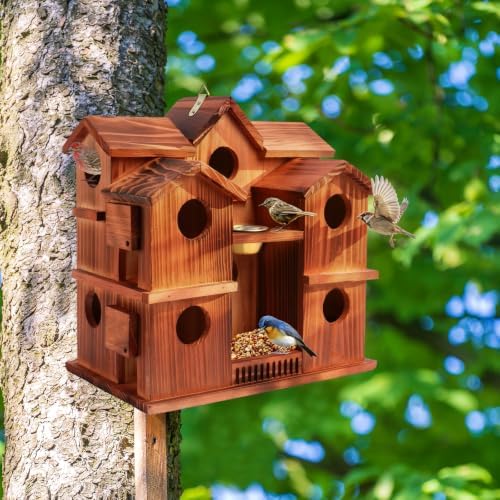 10-Room Bird House for Outside, Carbonized Wood Birdhouses for Outdoor