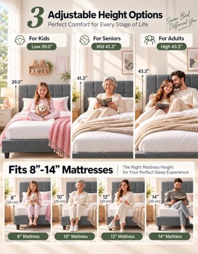 Marsail Queen Size Bed Frame with Headboard, Modern Bed Frame, Gray