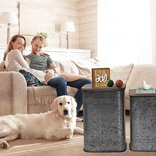 RUSTOWN Farmhouse Accent Side Table, Set of 2 Galvanized Storage Ottoman