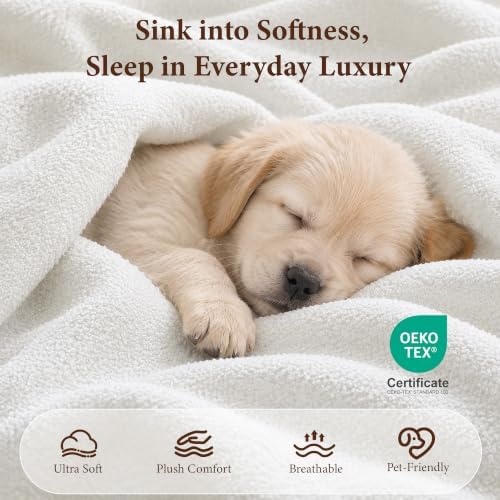 Yechen Queen Cloud Bed Frame, 6" Thick Curved Tufted Headboard, Ivory