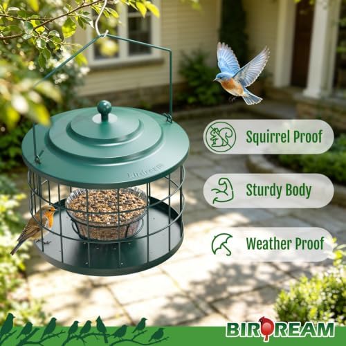 Birdream Metal Cage Bird Feeder for Outdoors Hanging with Glass Bowl, Green