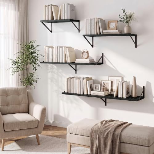 Axeman Deep Floating Shelves, 18'' x 10'' Black Wall Shelves Set of 2