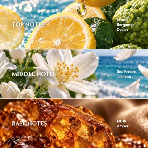 Bergamot Coastal Diffuser Oil Inspired by Ritz-C Hotel Scent, 100 mL