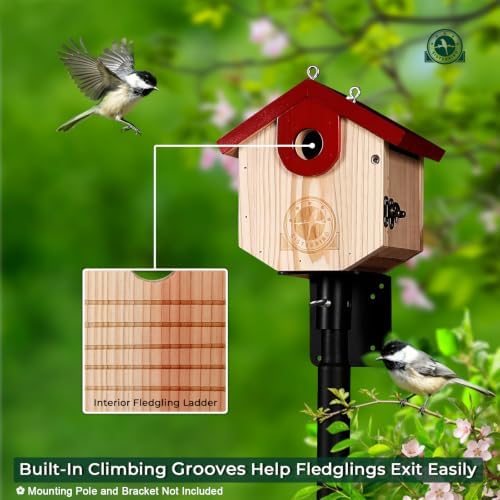 SISTERBIRD Wren Bird Houses for Outside, Bird House Warming Gifts, Red