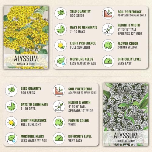 Seed Needs Alyssum Seeds Variety Pack of 4 Groundcover Flowers to Plant