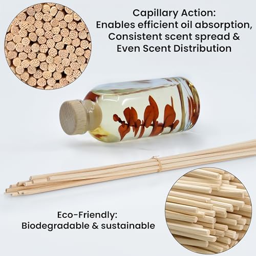 Urban Naturals Reed Diffuser Set, Bay Rum & Sandalwood - Bathroom Décor