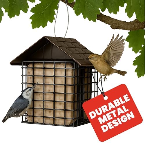 More Birds Double Suet Cake Feeder, Weather Guard, Steel Construction