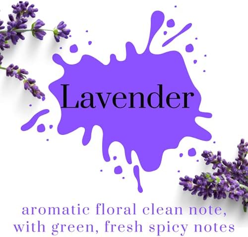 Air Jungles Lavender Reed Diffuser Set with Sticks 3.4 Fl Oz